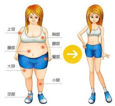 我要抽脂减肥