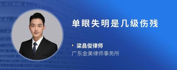 单眼失明是几级伤残