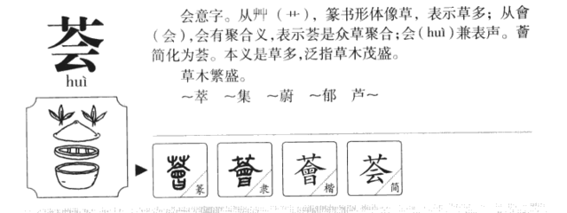 荟字五行