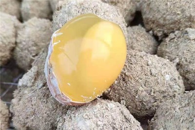 变蛋孕妇可以吃吗