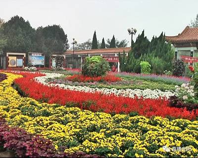 花坛设计理念