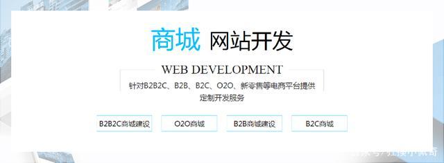 网站开发公司专业从事网站制作武汉网站开发公司