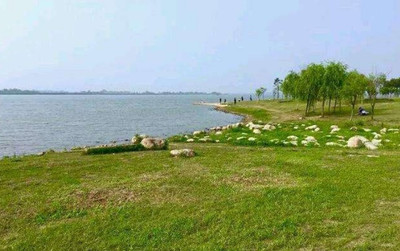 南昌市瑶湖湿地公园