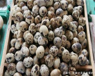 鹌鹑蛋长度是多少厘米