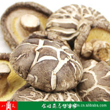 花菇和香菇哪个好吃