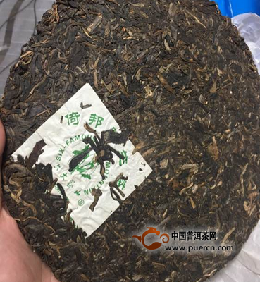 普洱茶排名前十名茶山
