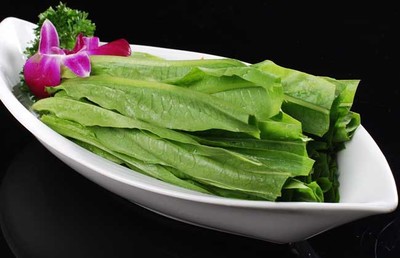 孕妇可以吃油麦菜