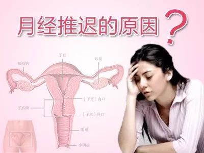 人流后多长时间可以怀孕