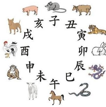 地指什么生肖
