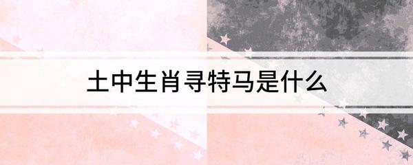 寻是什么生肖