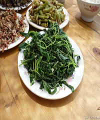 蒲公英凉拌怎么做