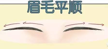 眉毛与命运