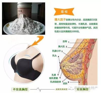 坐月子可以吃葛粉吗