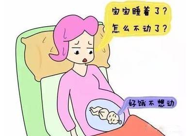 怀孕没有胎心是怎么回事
