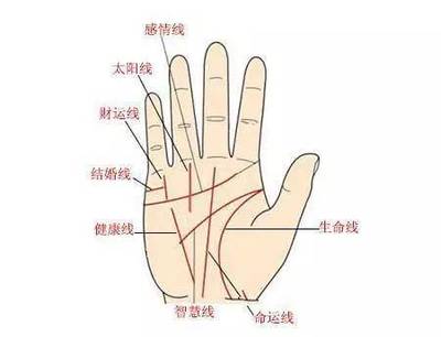 命运线止于智慧线