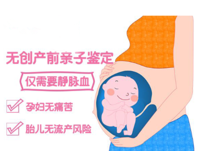产前dna亲子鉴定