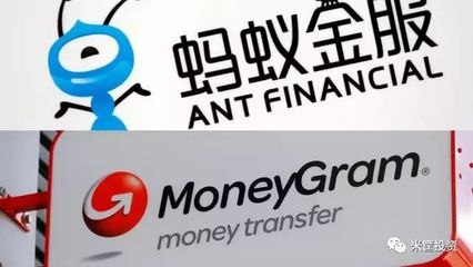 新华汇金做什么