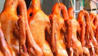 感冒咳嗽能吃鹅肉吗