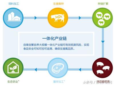 船舶一体化设备包括