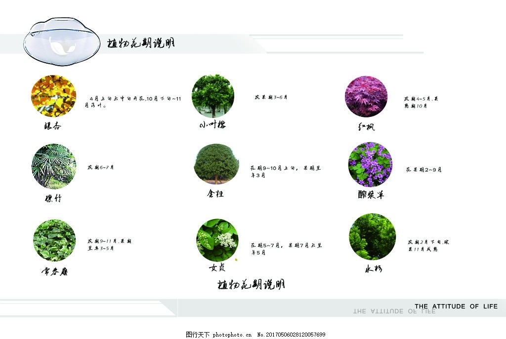 景观设计植物配置表