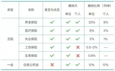 试用期交保险吗