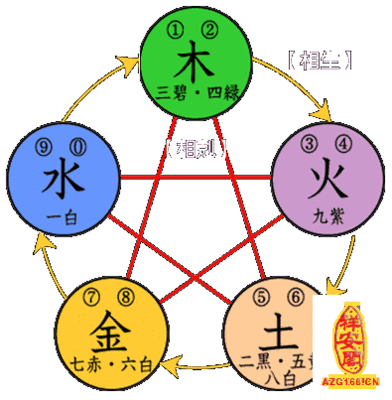 胃五行属什么