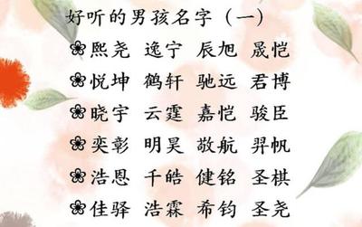儿子取名大全