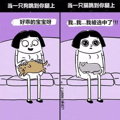 做梦梦到买东西
