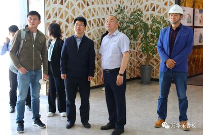 金牌橱柜是禾香板吗