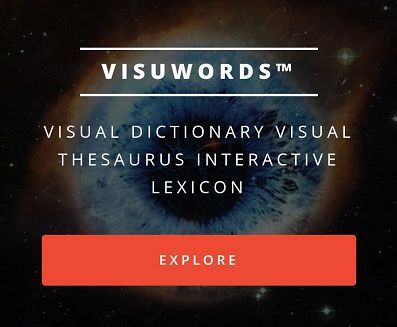 interactive的词性