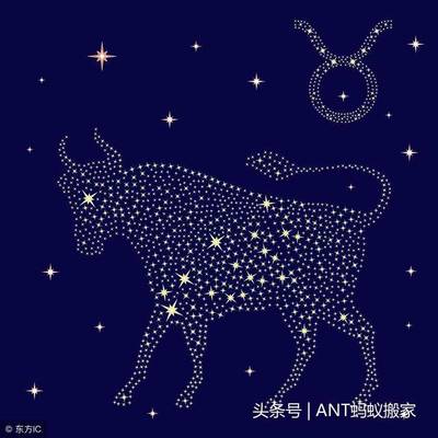 金牛座11月运势