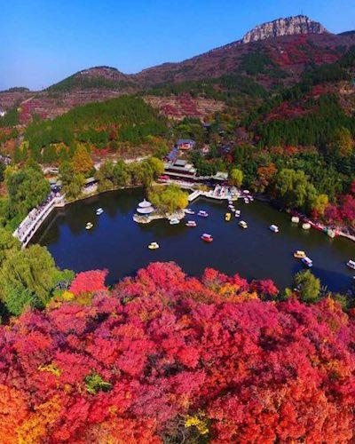 红叶谷旅游