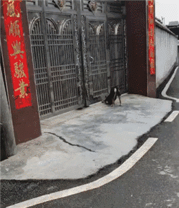 贪玩怎么进不去