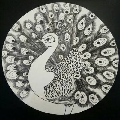 动物线描装饰画