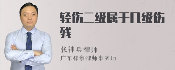 轻伤二级属于几级伤残