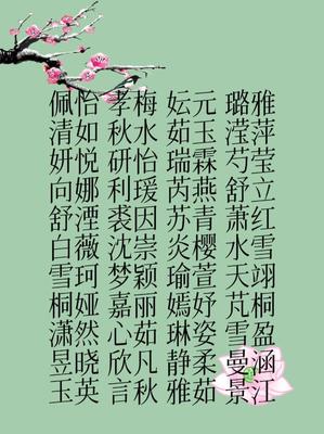 姓王男孩两个字的名字