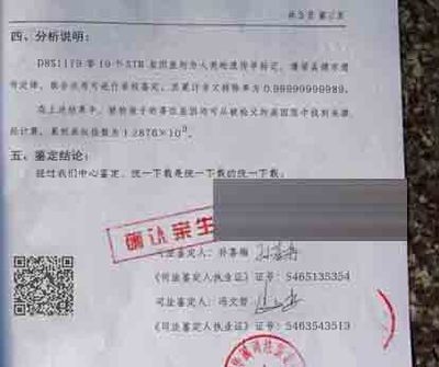 亲子鉴定结果样本