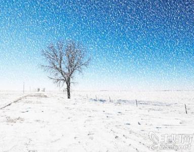 做梦梦见爬雪山