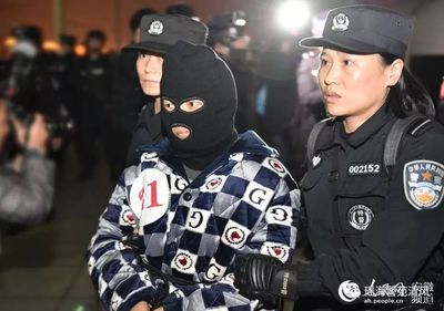 跨国犯罪组织