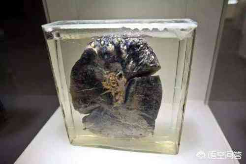 一个月抽一根烟有害吗