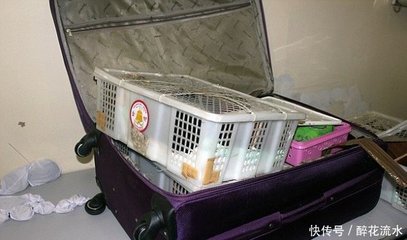 做梦梦到行李箱