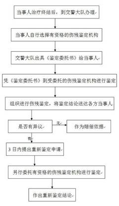 交通事故伤残鉴定书