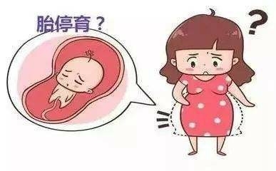 怀孕几天会不会出血
