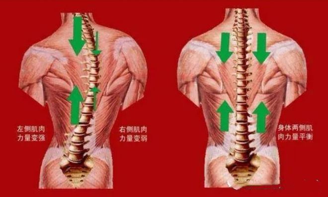 后背脊骨疼是怎么回事