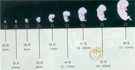 怀孕一个月左右怎么打掉