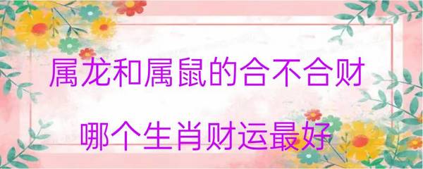 属龙和属鼠的合财吗