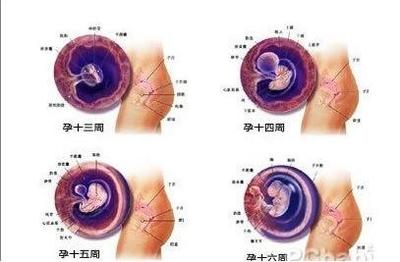 男下女上容易怀孕吗