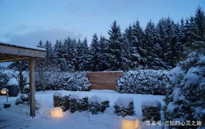 梦见大雪纷飞周公解梦