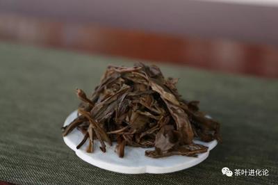 生茶怎么泡