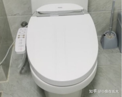智能马桶盖有必要吗